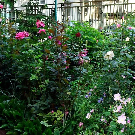 Sea Garden Μπουργκάς