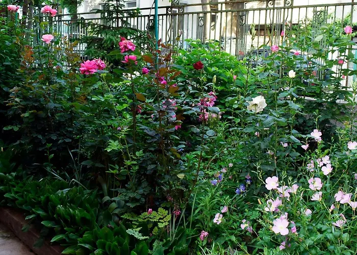 Sea Garden ブルガス